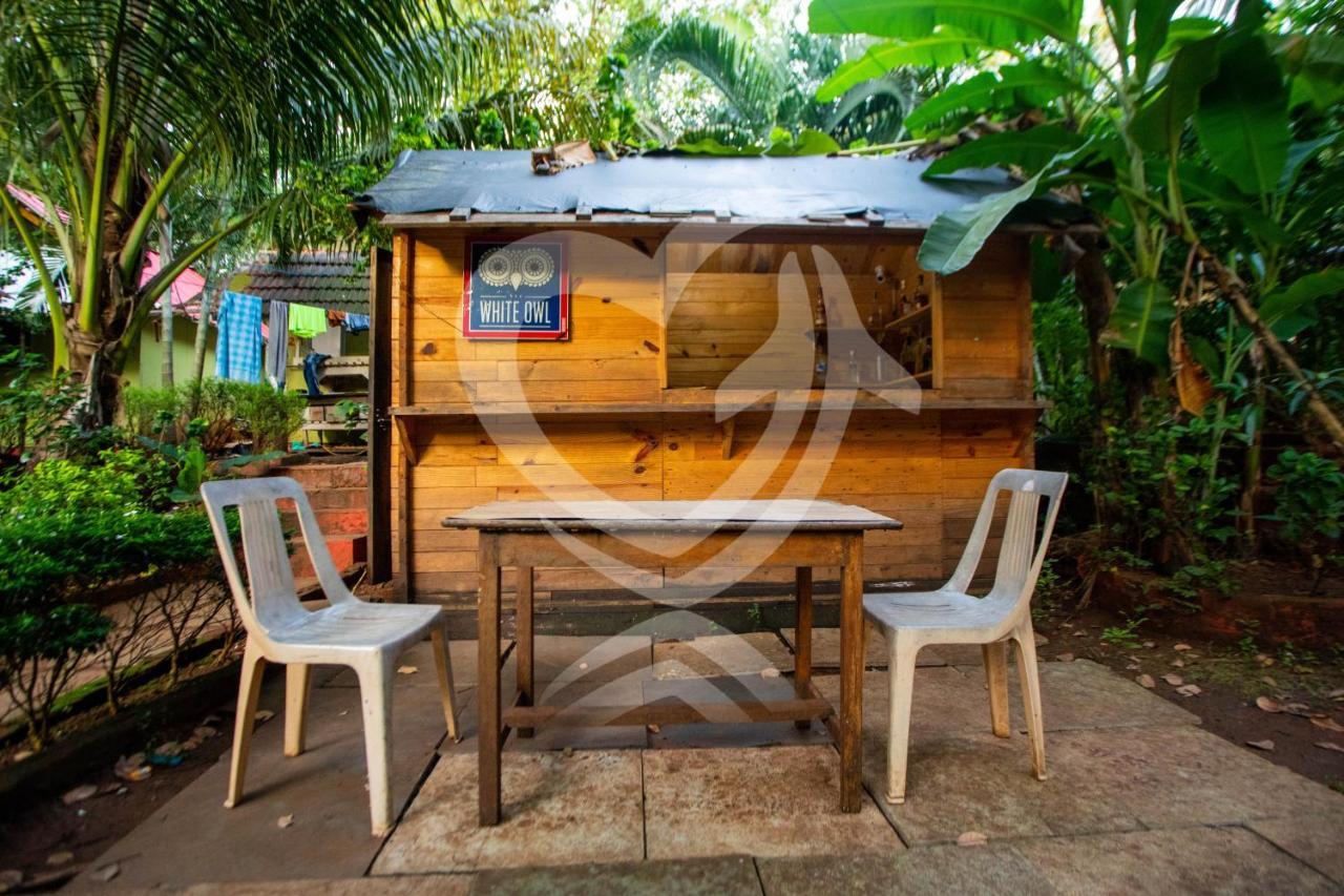 Zulu Land Cottages - Near Curlies Beach Shack And Shiva Valley - Anjuna Beach Exterior foto